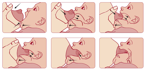 Breastfeeding Basics Latch HSE
